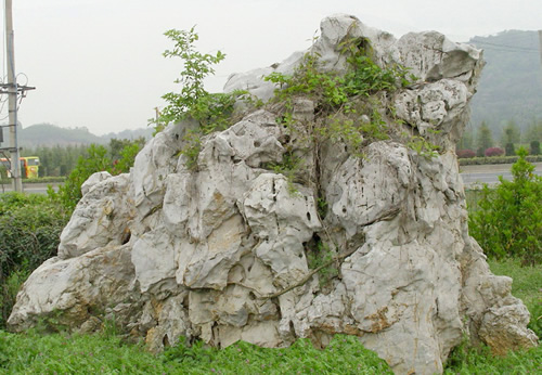 草坪风景石